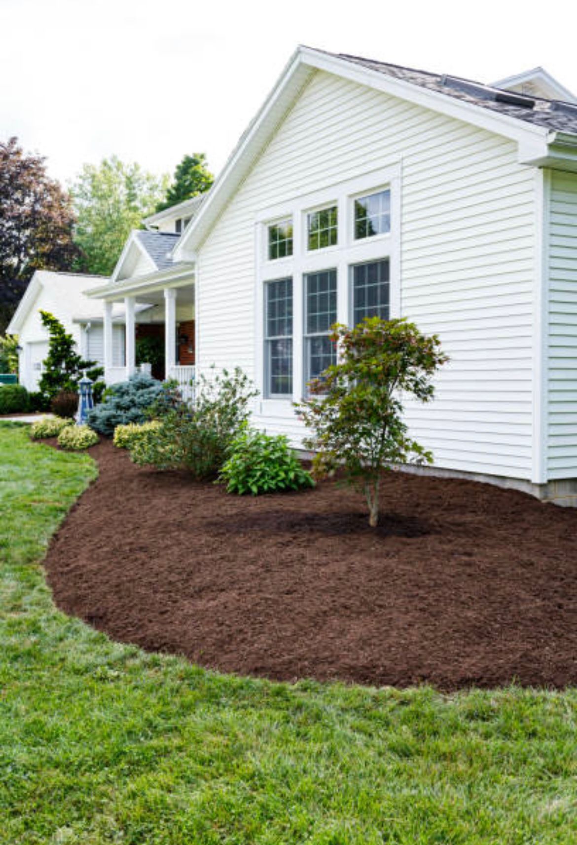Landscape Design & Install